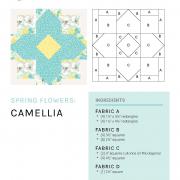 mbs-spring-flowers_camellia_printer-friendly.jpg